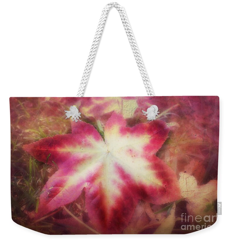 Landscape Weekender Tote Bag featuring the photograph Fall For Me by Peggy Franz