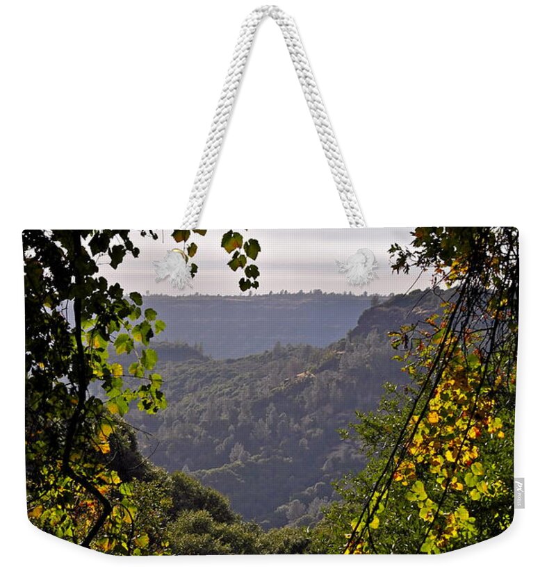 Landscape Weekender Tote Bag featuring the photograph Fall Frames the Canyon by Michele Myers