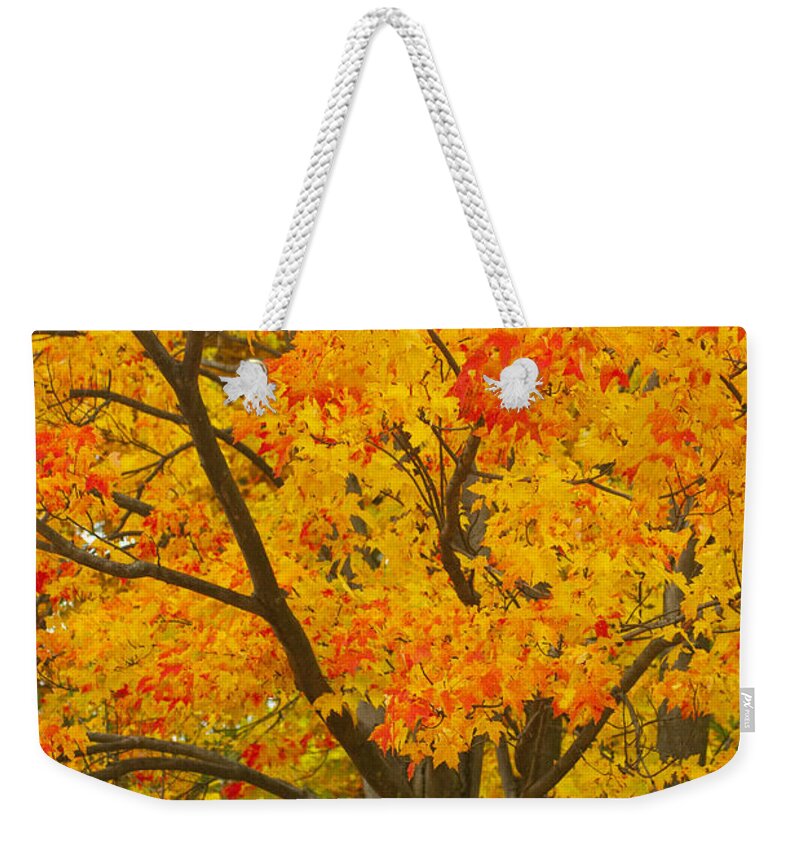 Fall Colors Weekender Tote Bag featuring the photograph Fall in Pennsylvania by Paul W Faust - Impressions of Light