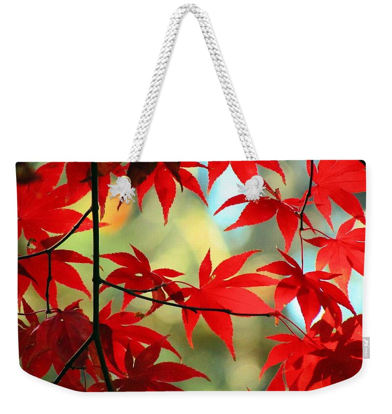 Autumn Weekender Tote Bag featuring the photograph Fall Leaves by Carol Montoya