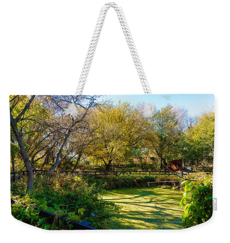 Fall Weekender Tote Bag featuring the photograph Fall Morning by Ed Peterson