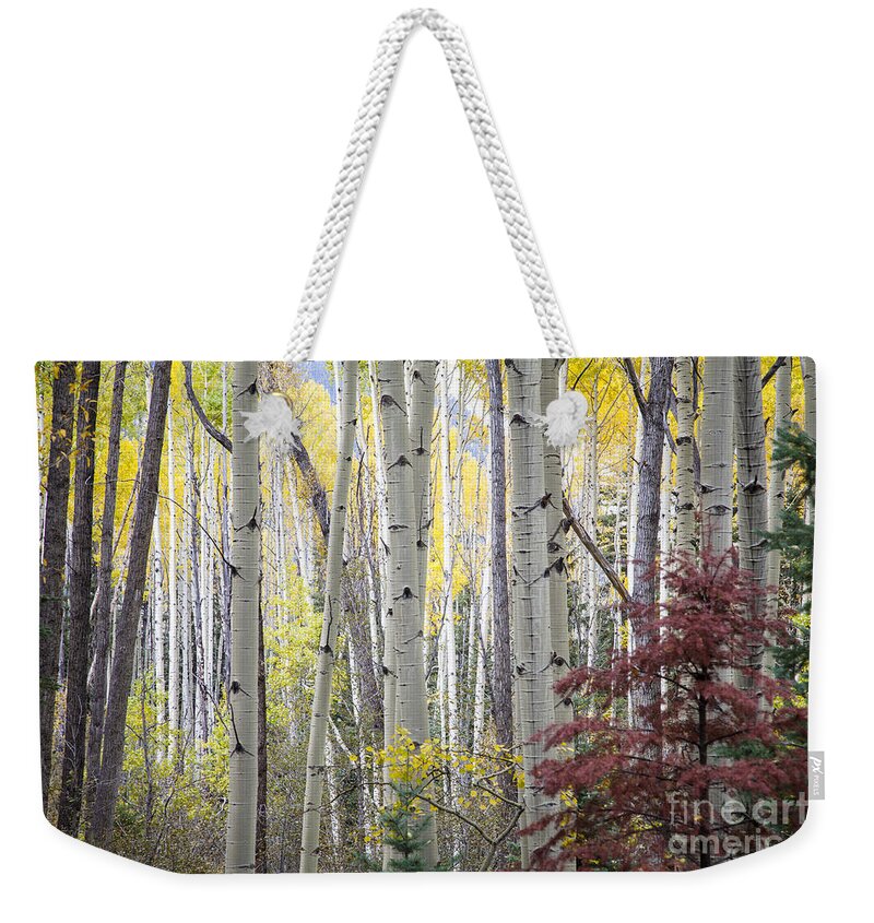 Fall Weekender Tote Bag featuring the photograph Fall by Olivier Steiner