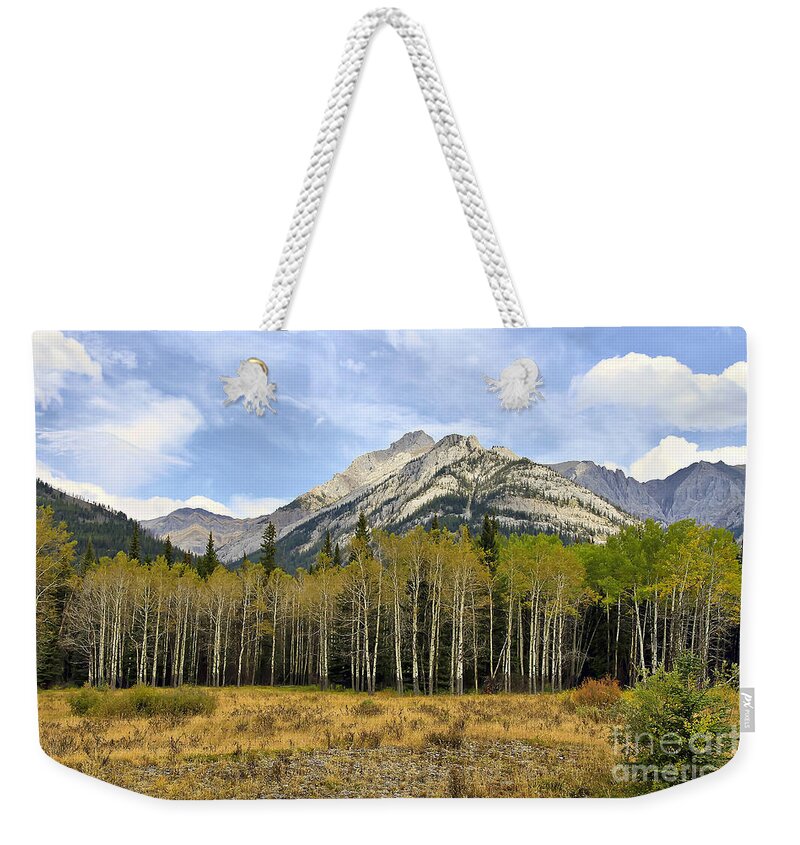 Fall Weekender Tote Bag featuring the photograph Fall Scenery by Teresa Zieba