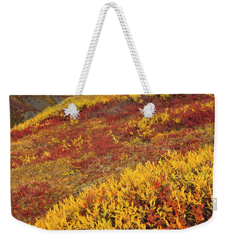 00345445 Weekender Tote Bag featuring the photograph Fall Tundra And First Snow by Yva Momatiuk John Eastcott