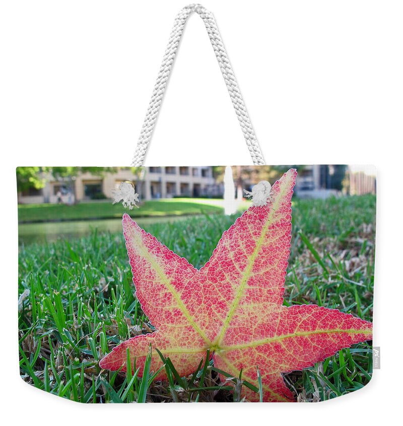 Red Leaf Weekender Tote Bag featuring the photograph Fallen Leaf by Kelly Holm