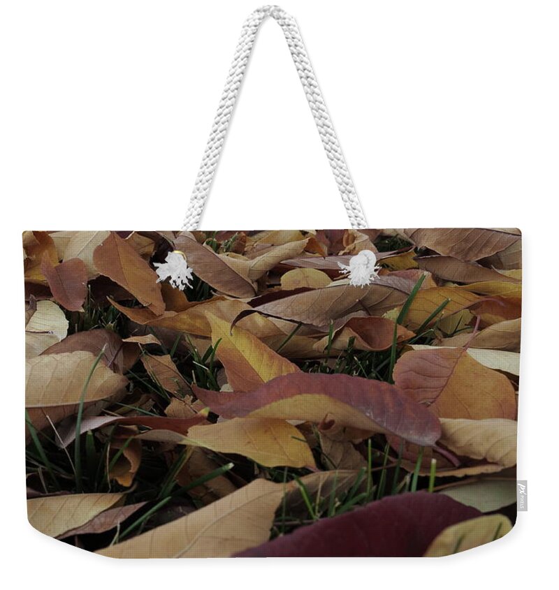 Autumn Leaves Weekender Tote Bag featuring the photograph Fallen Time by Jessica Myscofski