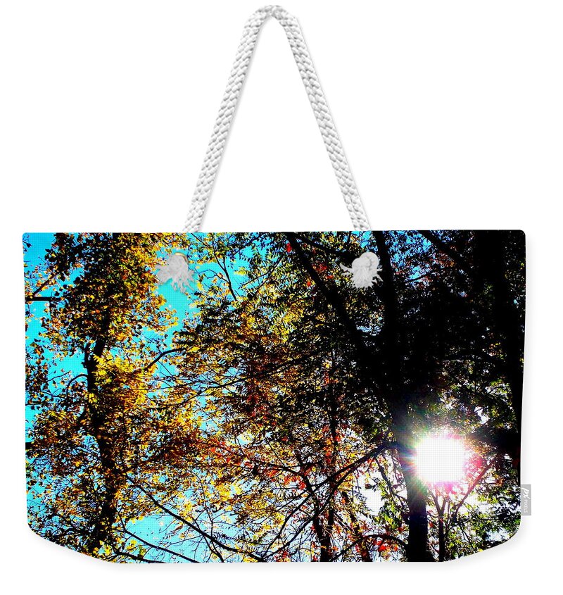 Falling Into Color Weekender Tote Bag featuring the photograph Falling into Color by Darren Robinson