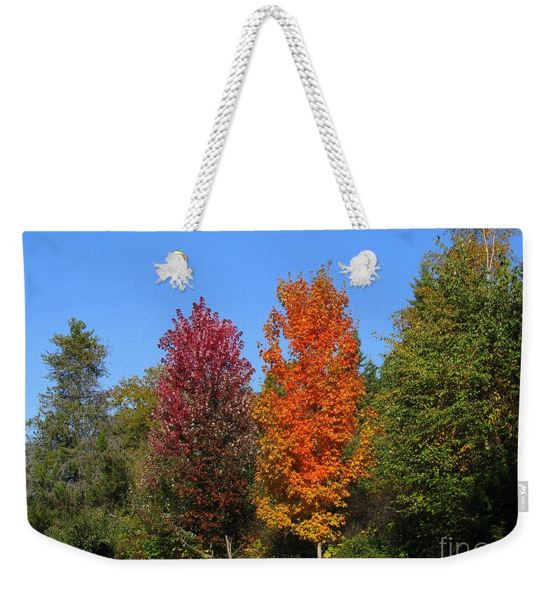 Fall Weekender Tote Bag featuring the photograph Falls Colours by Leone Lund