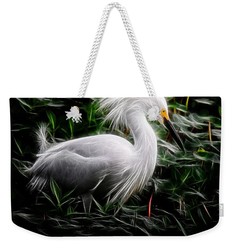Egret Weekender Tote Bag featuring the photograph Fancy Feathers by Lucy VanSwearingen