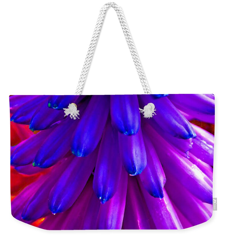 Duane Mccullough Weekender Tote Bag featuring the photograph Fantasy Flower 5 by Duane McCullough