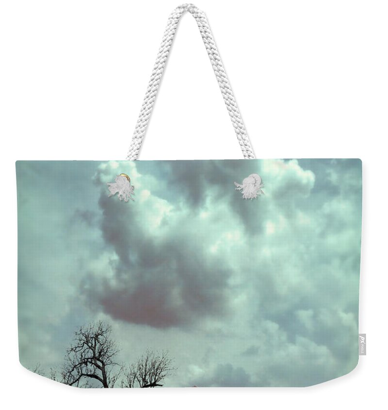 House Weekender Tote Bag featuring the photograph Farmhouse and Tree by Jill Battaglia