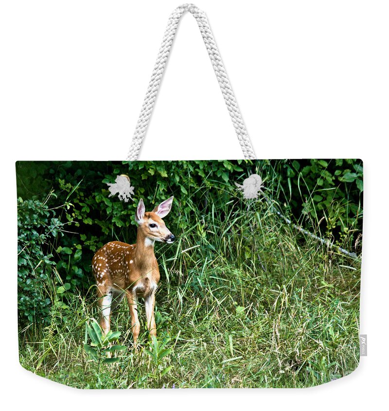 Deer Weekender Tote Bag featuring the photograph Fawn by Cheryl Baxter