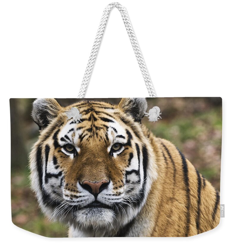 Tiger Weekender Tote Bag featuring the photograph Fearless by Jean-Pierre Ducondi
