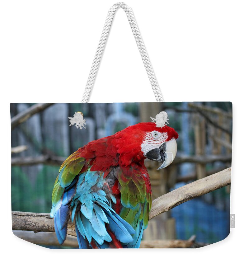Parrot Weekender Tote Bag featuring the photograph Feathers by Jackson Pearson