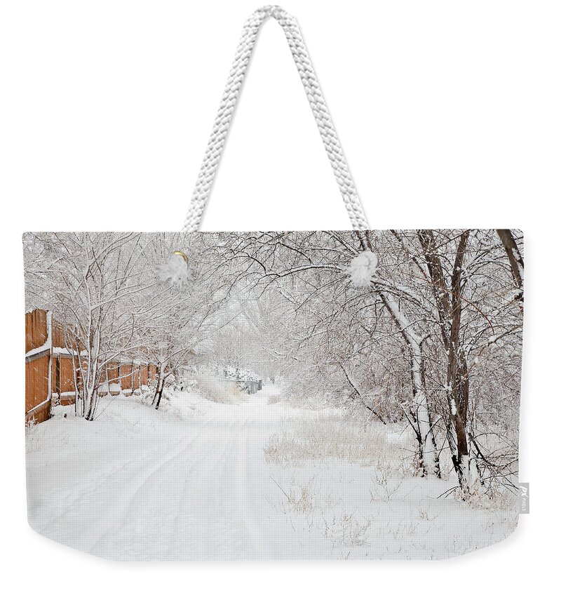 Snow Weekender Tote Bag featuring the photograph February Snow by Theresa Tahara