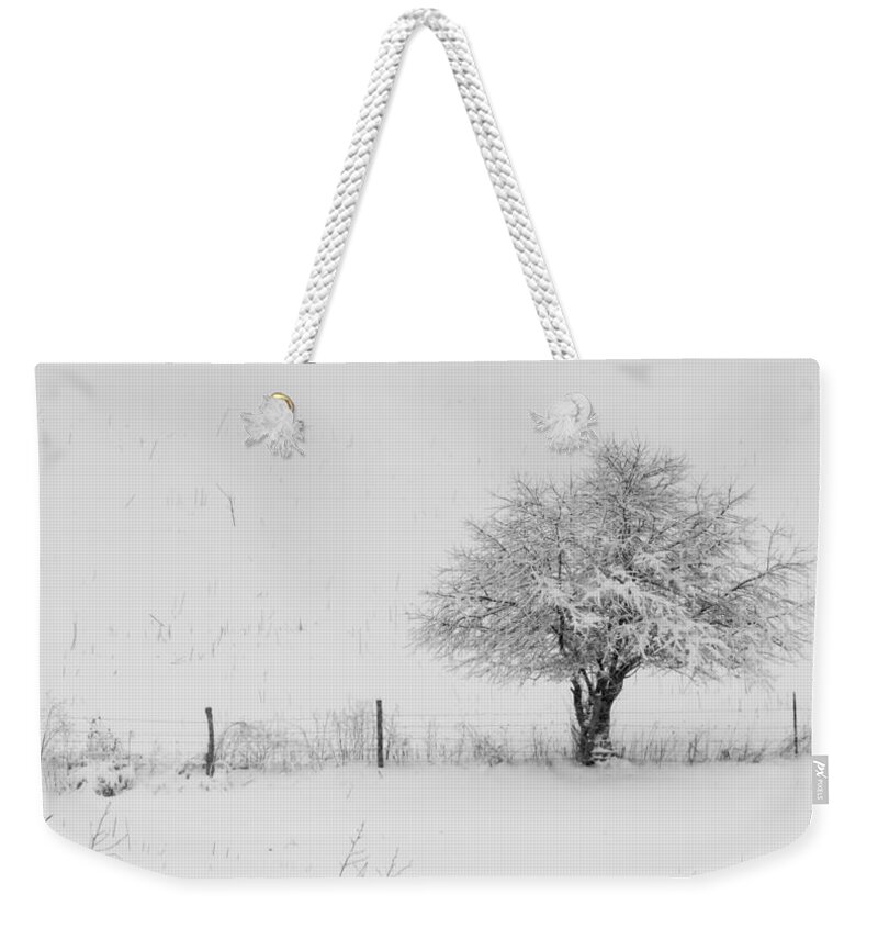 Fence Weekender Tote Bag featuring the photograph Fence line in the Wintertime by Holden The Moment