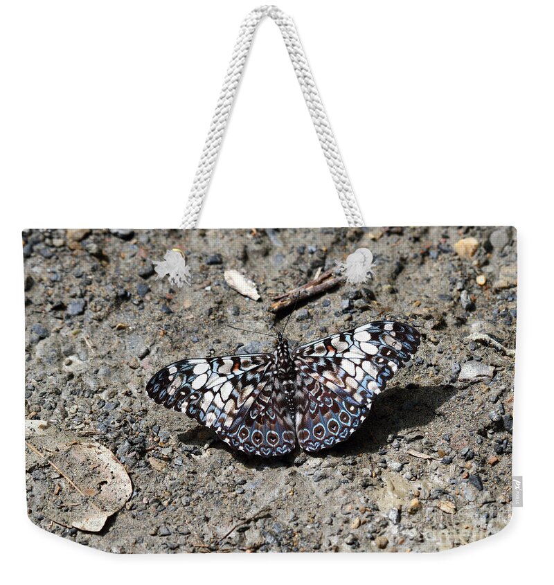 Butterfly Weekender Tote Bag featuring the photograph Feronia Cracker butterfly by James Brunker