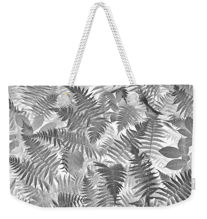 Botanical Weekender Tote Bag featuring the photograph Fiddlehead Ferns by Phyllis Meinke