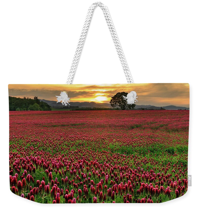 Scenics Weekender Tote Bag featuring the photograph Field Of Crimson Clover With Lone Oak by Jason Harris