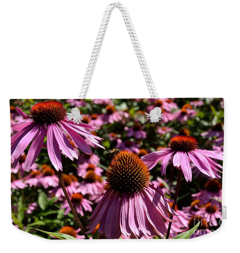 Art Weekender Tote Bag featuring the photograph Field of Echinaceas by Scott Lyons