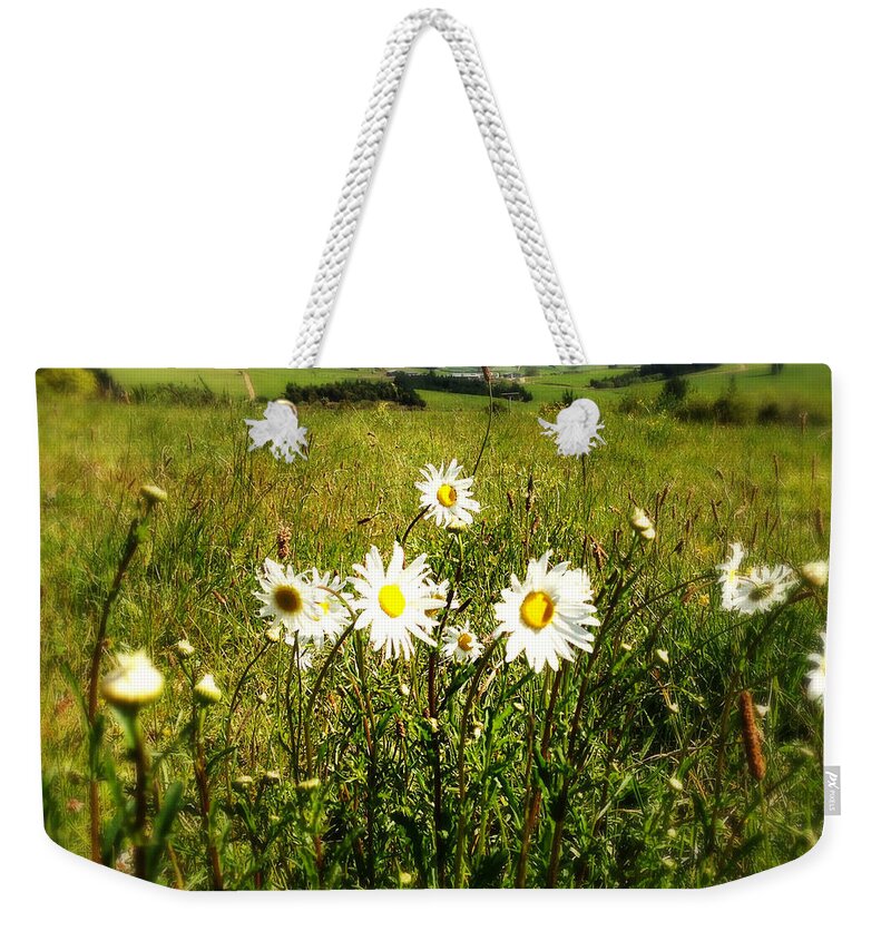 Beautiful Weekender Tote Bag featuring the photograph Field of flowers by Les Cunliffe