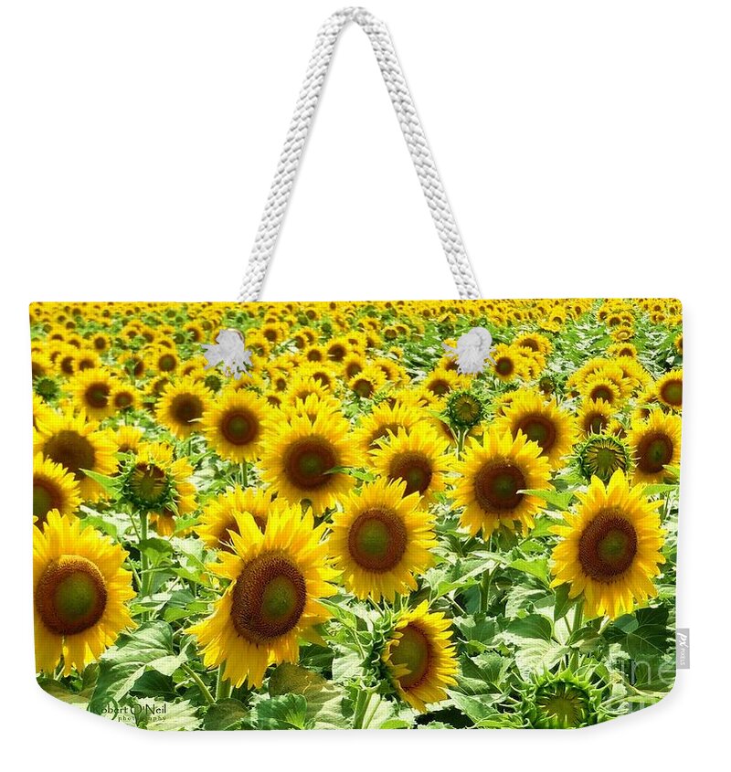 Sunflower Weekender Tote Bag featuring the photograph Field of Glory by Robert ONeil