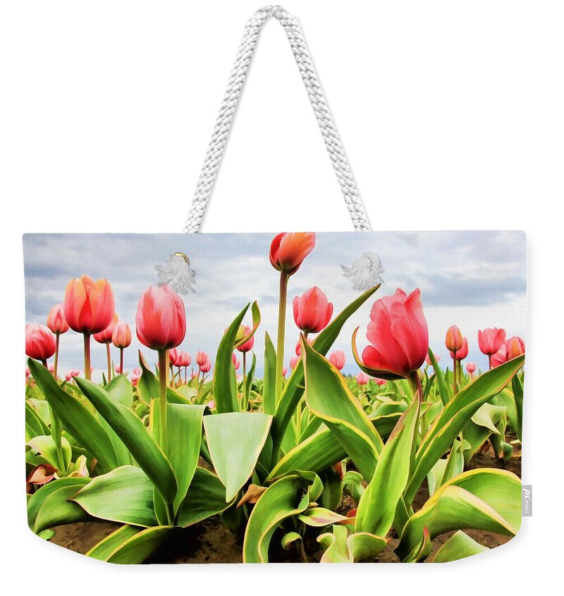 Tulips Weekender Tote Bag featuring the photograph Field of Pink Tulips by Athena Mckinzie