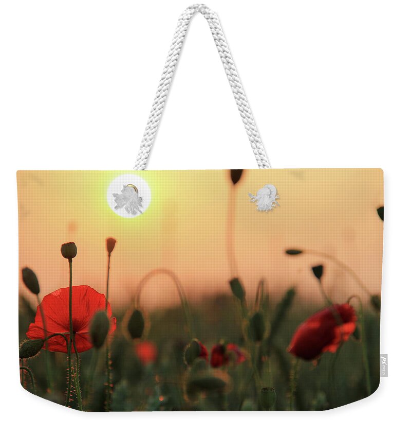 Belgium Weekender Tote Bag featuring the photograph Field Of Poppies by Peter Daems