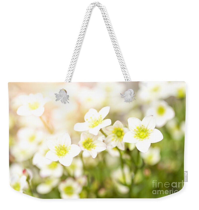 Flower Weekender Tote Bag featuring the photograph Field of white blossoms by Sophie McAulay