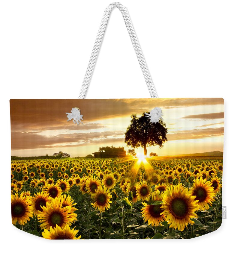 Appalachia Weekender Tote Bag featuring the photograph Fields of Gold by Debra and Dave Vanderlaan