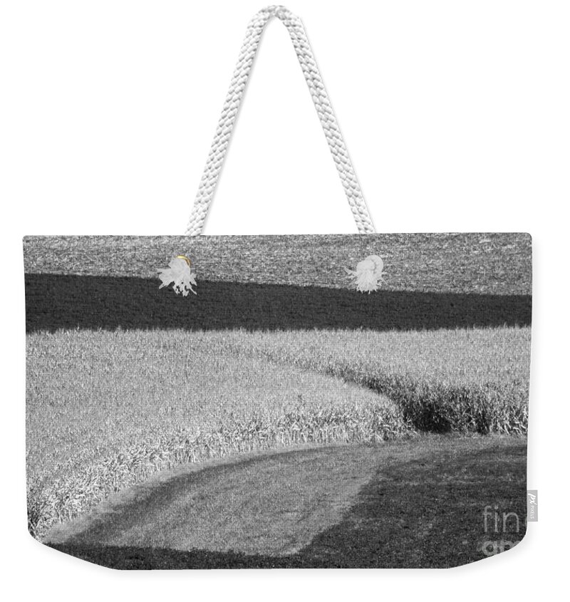 Fields Weekender Tote Bag featuring the photograph Corn Fields near Madison, WI by Steven Ralser