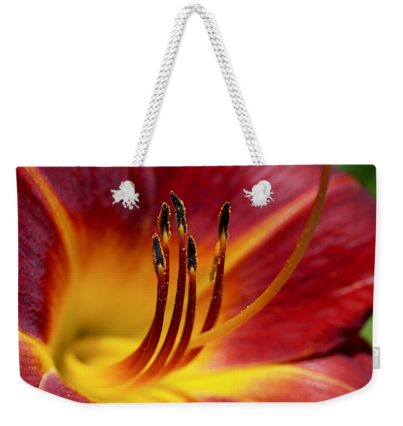 Lily Weekender Tote Bag featuring the photograph Fiery Lily by Rona Black