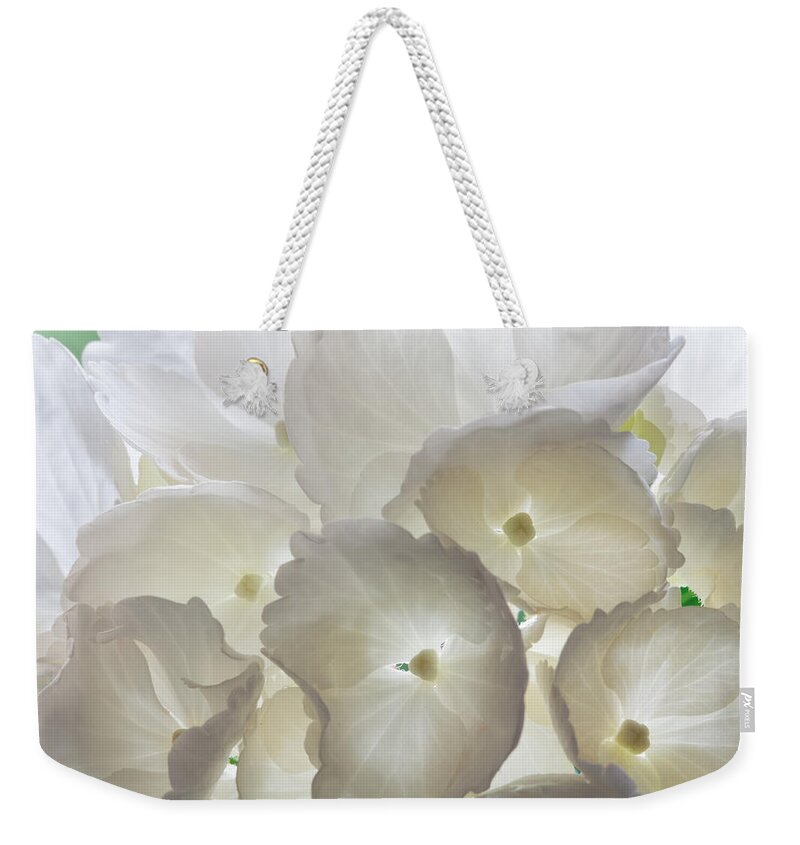 Hydrangea Weekender Tote Bag featuring the photograph Filtered Light by Shirley Mitchell