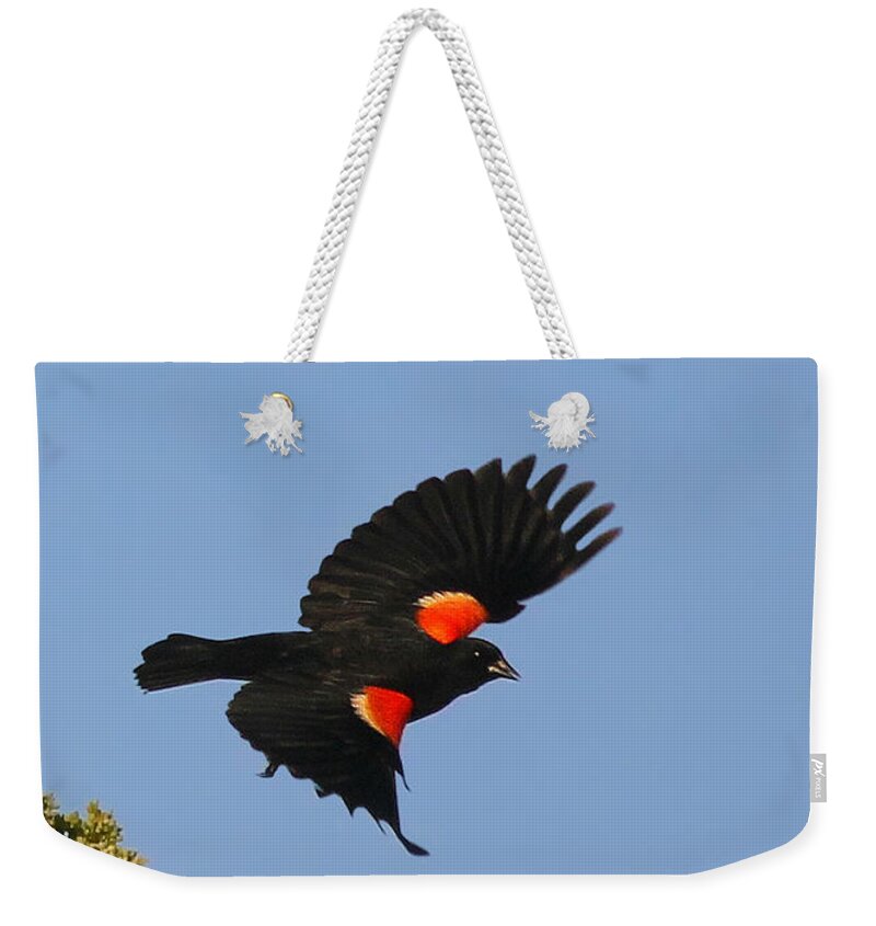 Blackbirds Weekender Tote Bag featuring the photograph Final Approach by Geoff Crego