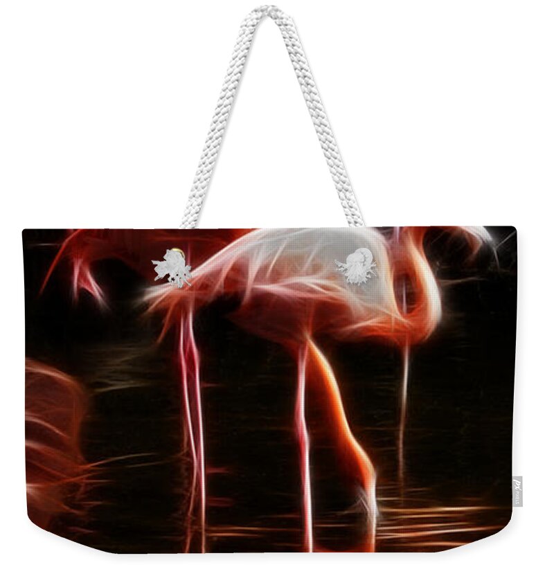Fire Flamingos Weekender Tote Bag featuring the photograph Fire Flamingos by Weston Westmoreland