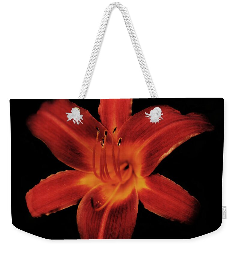 Lily Weekender Tote Bag featuring the photograph Fire Lily by Michael Porchik