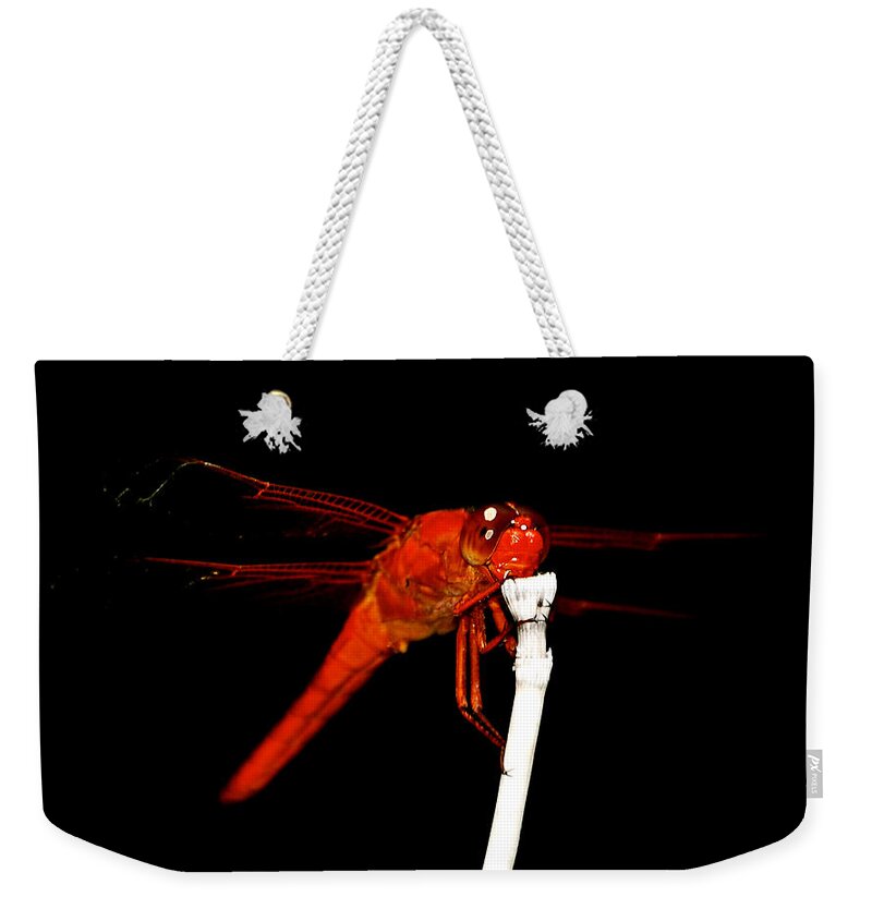  Red Dragonfly Weekender Tote Bag featuring the photograph Fire Red Dragon by Peggy Franz