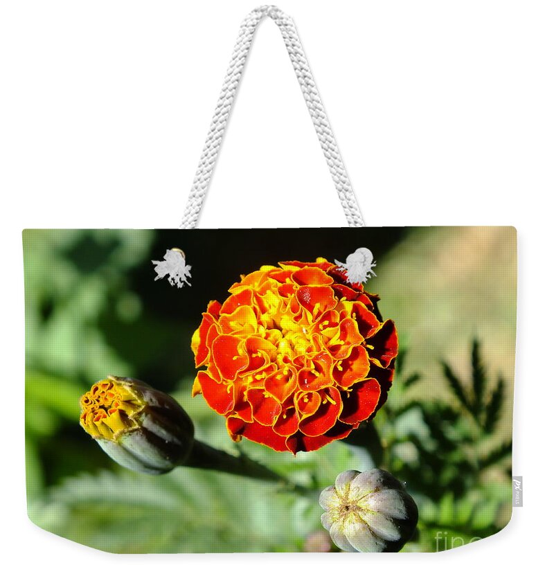 Red Flowers Weekender Tote Bag featuring the photograph Fireball by Yenni Harrison