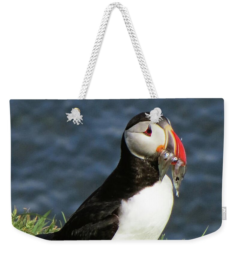 Grass Weekender Tote Bag featuring the photograph Fish Anyone by Traumlichtfabrik
