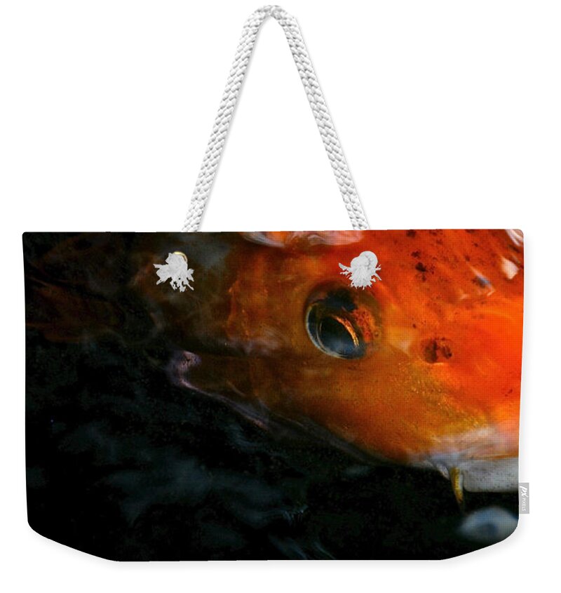 Fish Weekender Tote Bag featuring the photograph Fish Eye On You by Susan Herber