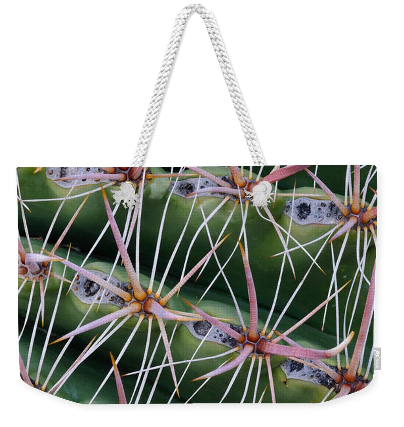 Nature Weekender Tote Bag featuring the photograph Fishhook Barrel Cactus by John Shaw