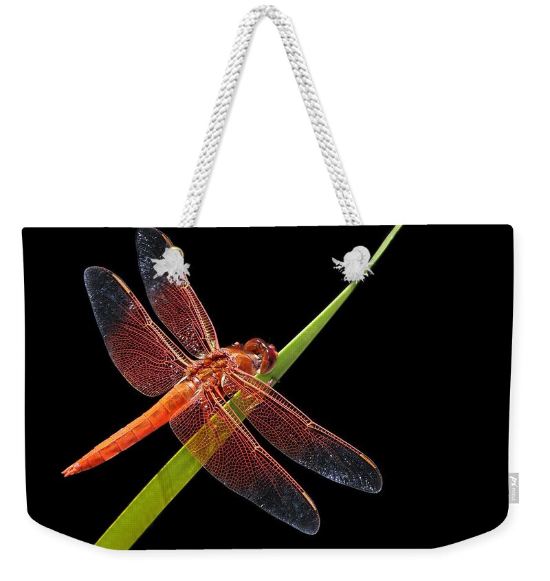 Flame Skimmer Weekender Tote Bag featuring the photograph Flame Skimmer - Dragonfly by Nikolyn McDonald