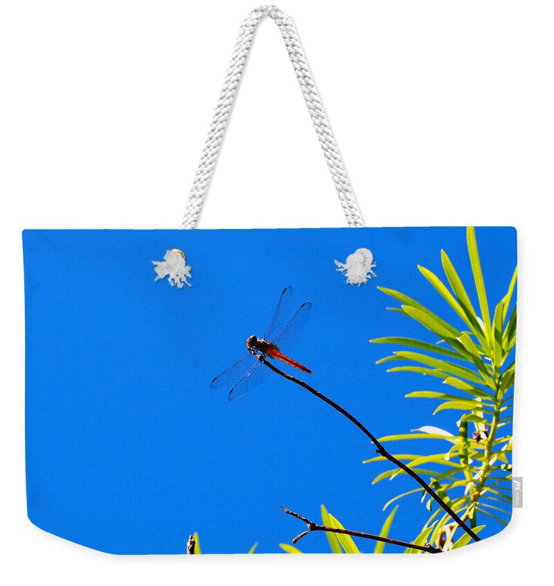 Dragonfly Weekender Tote Bag featuring the photograph Flame Skippin by Joe Schofield