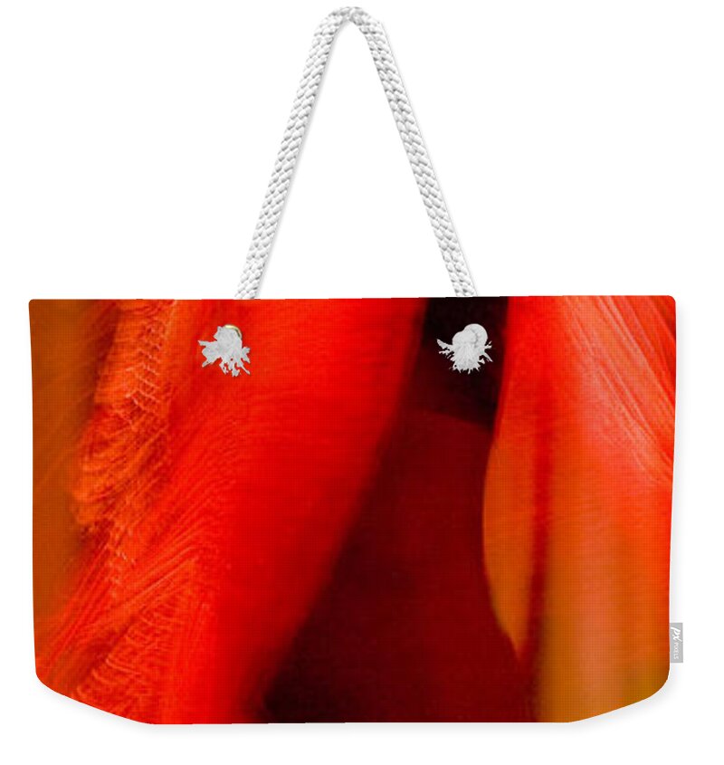Andalusia Weekender Tote Bag featuring the photograph Flamenco Series 10 by Catherine Sobredo