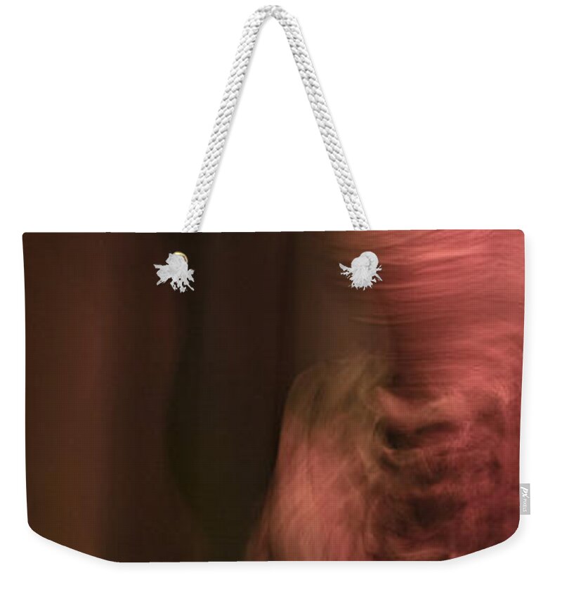 Andalusia Weekender Tote Bag featuring the photograph Flamenco Series 8 by Catherine Sobredo