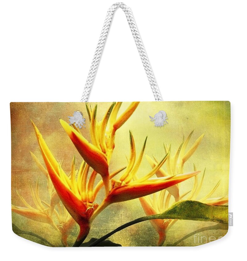 Flowers Weekender Tote Bag featuring the photograph Flames of Paradise by Ellen Cotton