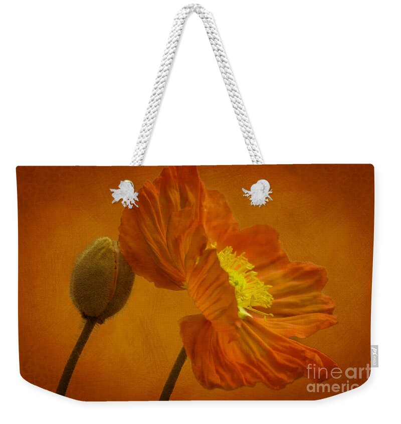 Orange Weekender Tote Bag featuring the photograph Flaming Beauty by Heiko Koehrer-Wagner