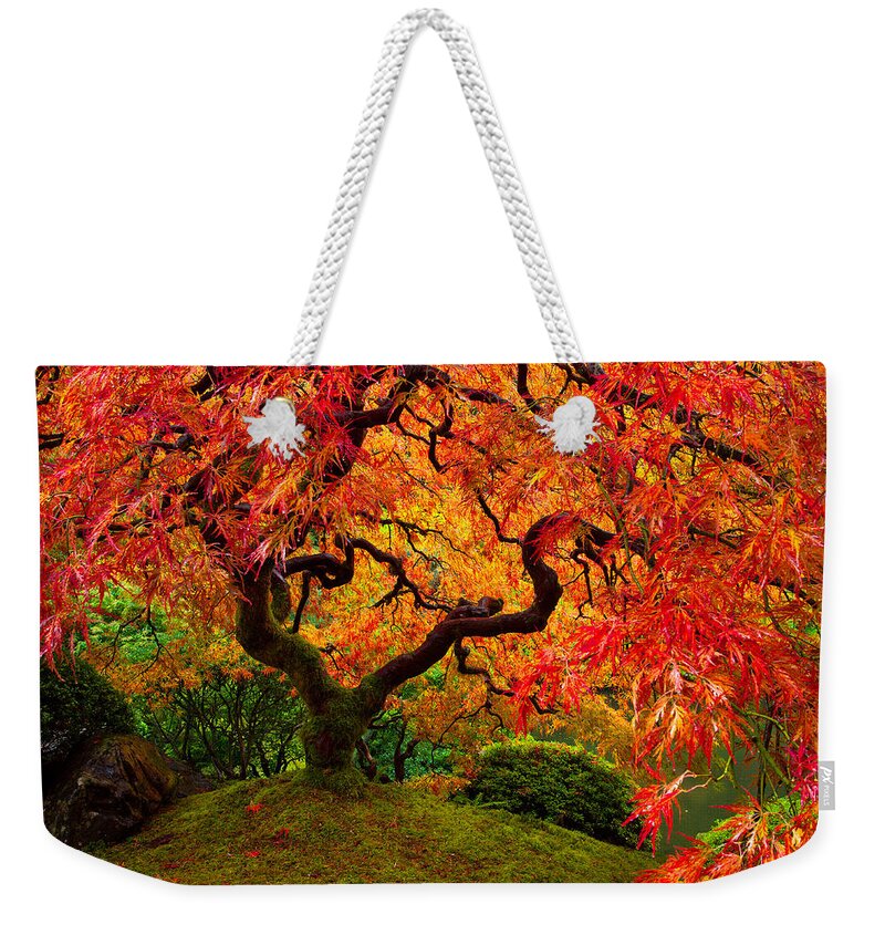 Portland Weekender Tote Bag featuring the photograph Flaming Maple by Darren White