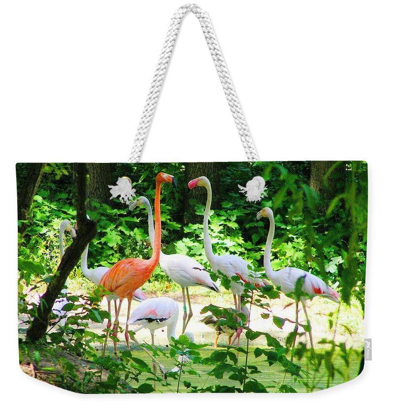 Flamingo Weekender Tote Bag featuring the photograph Flamingo by Oleg Zavarzin