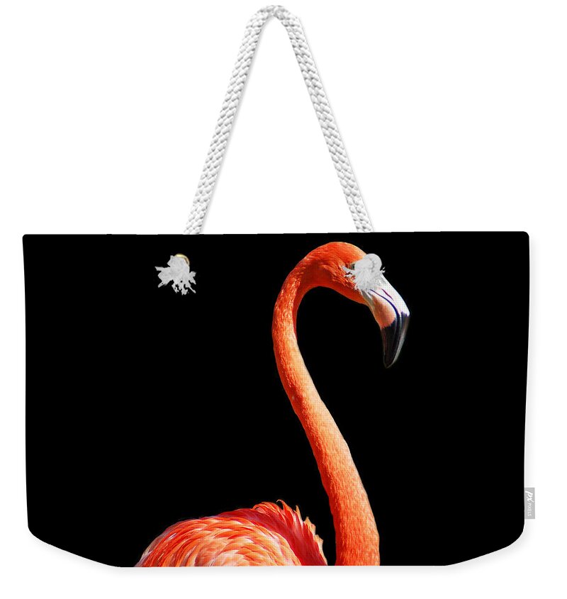 Flamingo Weekender Tote Bag featuring the photograph Flamingo Portrait by Aimee L Maher ALM GALLERY